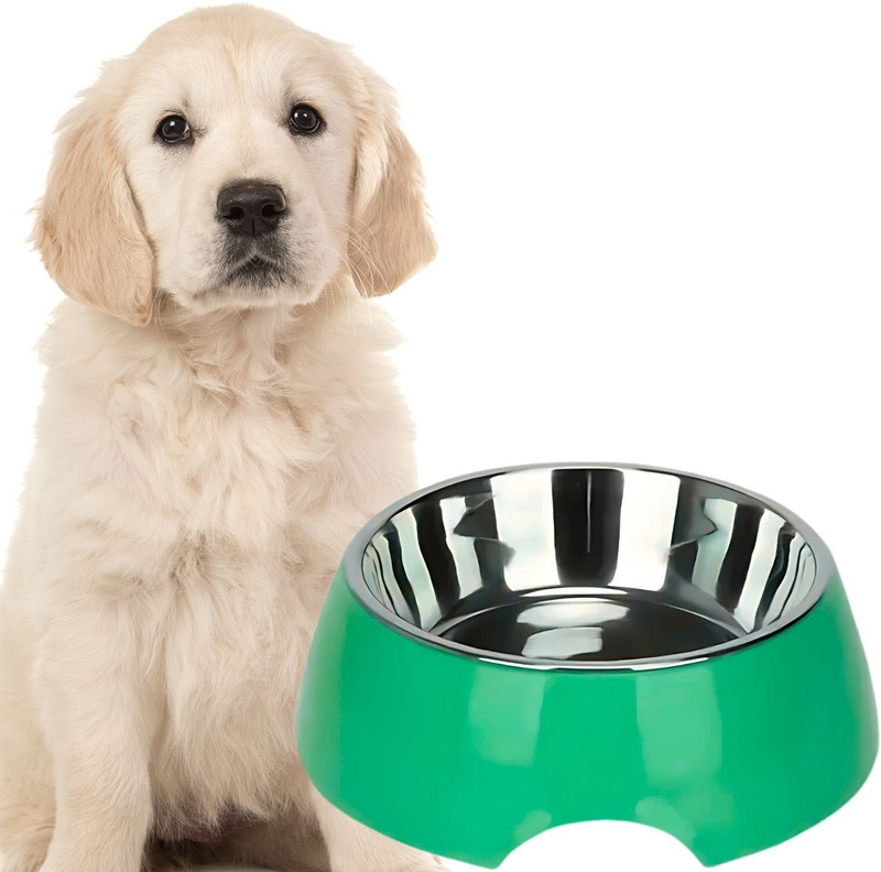Sage Square Plastic Pet Bowl(400 ml Multicolor)