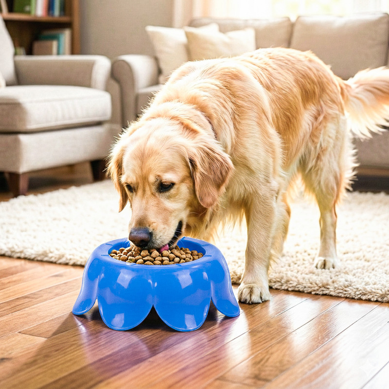 HOMESTIC Dog Bowl for Puppy & Cat | Anti-Skid, Lightweight Food & Water Bowl | Blue Plastic Pet Bowl(2 L Blue)