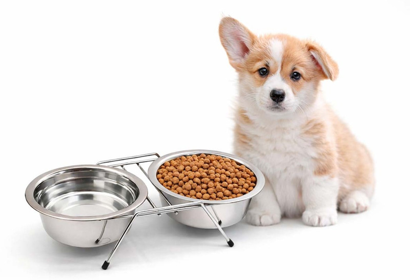 Woofy Pets Double Elevated Food and Water Stand Bowls Dinner Bowl for cat and Puppy Stainless Steel Pet Bowl(350 ml Silver)