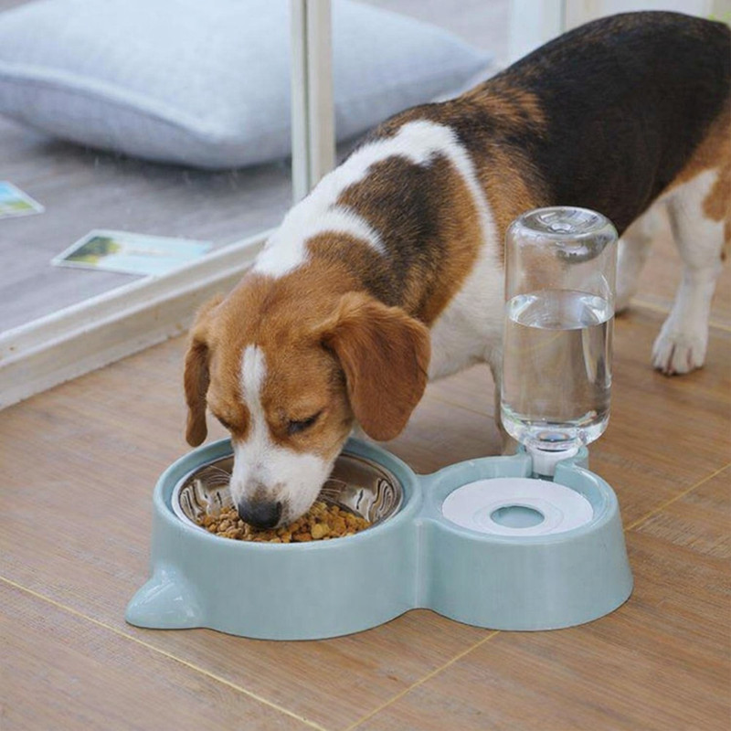 Conziv Cat Food Bowl Pet Automatic Feeder Water Dispenser Pet Supplies Feeder for Dogs Plastic Pet Bowl & Bottle(500 ml Blue)