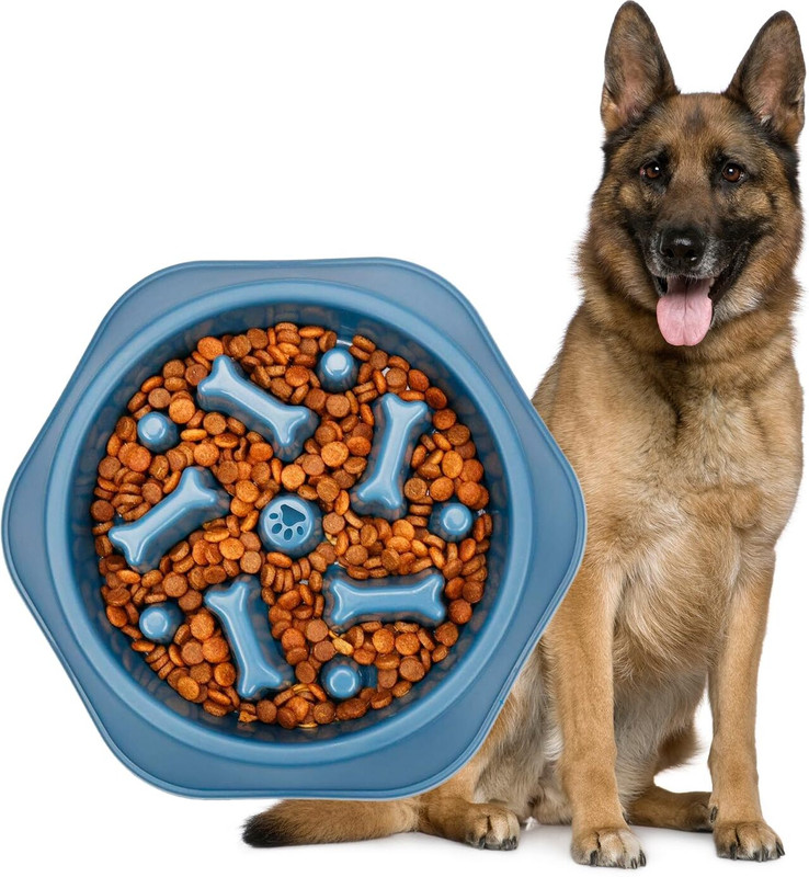 CYOU STORE Bowl For Dog And Cat Plastic Pet Bowl(450 ml Multicolor)