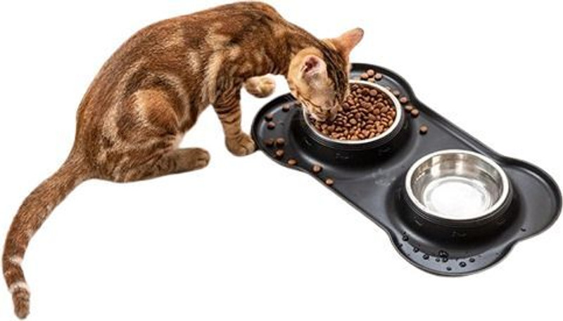 KARTUNBOX Dog Food Bowls Stainless Steel Pet Bowls, Cats & Small Pets Silicone, Steel Pet Bowl(500 ml Black)