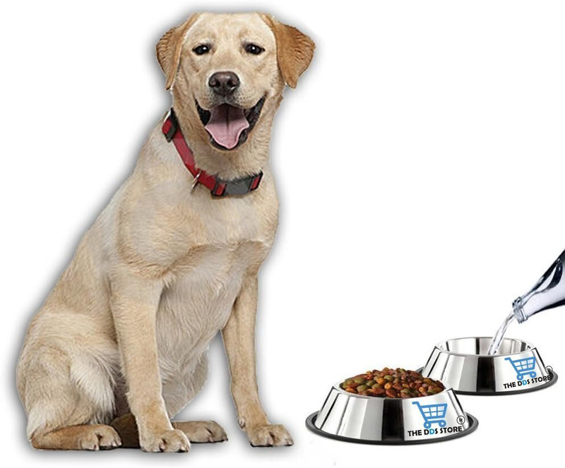 chullbull pet products 1 pc Stainless Steel Pet Bowl Removable Rubber Ring Pet Bowl Water & Food Bowl Stainless Steel Pet Bowl(700 ml Steel)