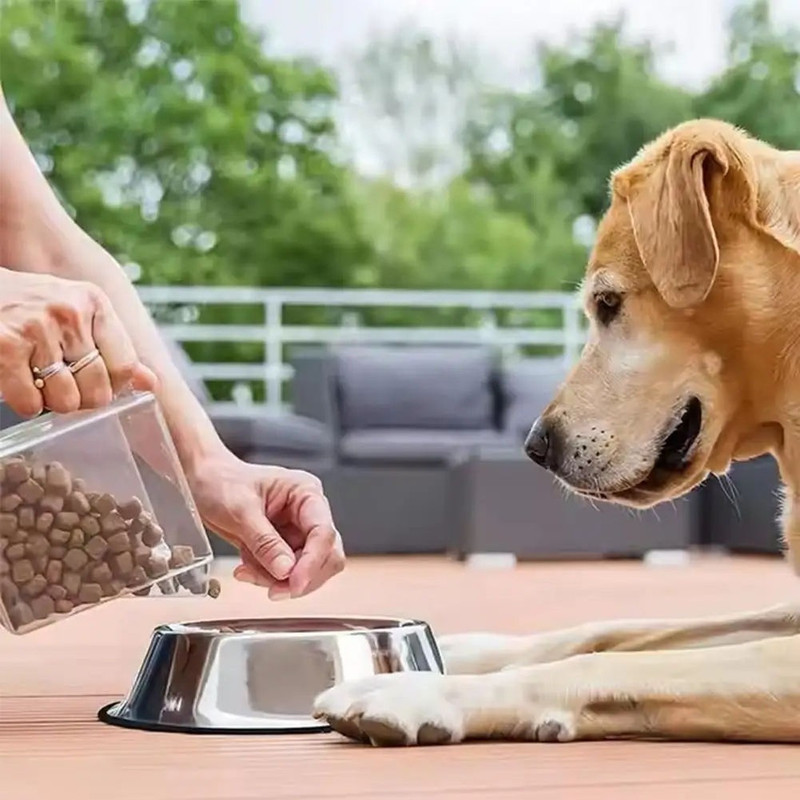 SHAKYA GREEN Stainless Steel Pet Bowl(160 ml Silver)