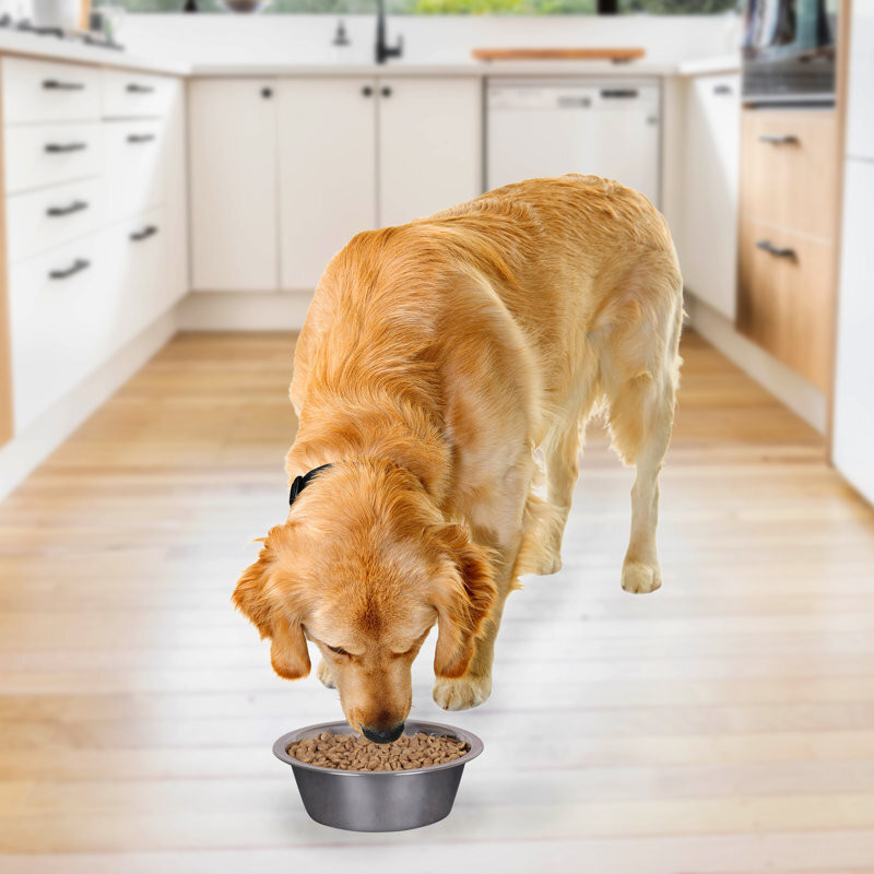 sabri shopee Steel Pet Bowl(1 L Steel)