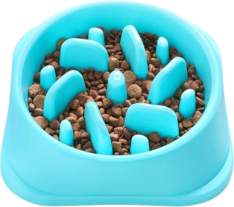 Prinesha Enterprises Plastic Pet Bowl(500 ml Blue)