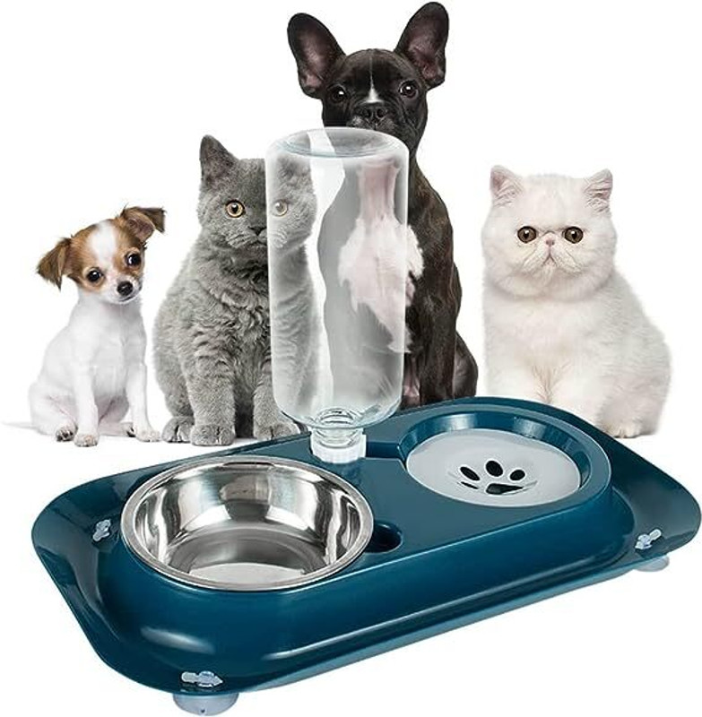 Maharaj Mall RXZER23 Plastic Pet Bowl & Bottle(250 ml Blue)