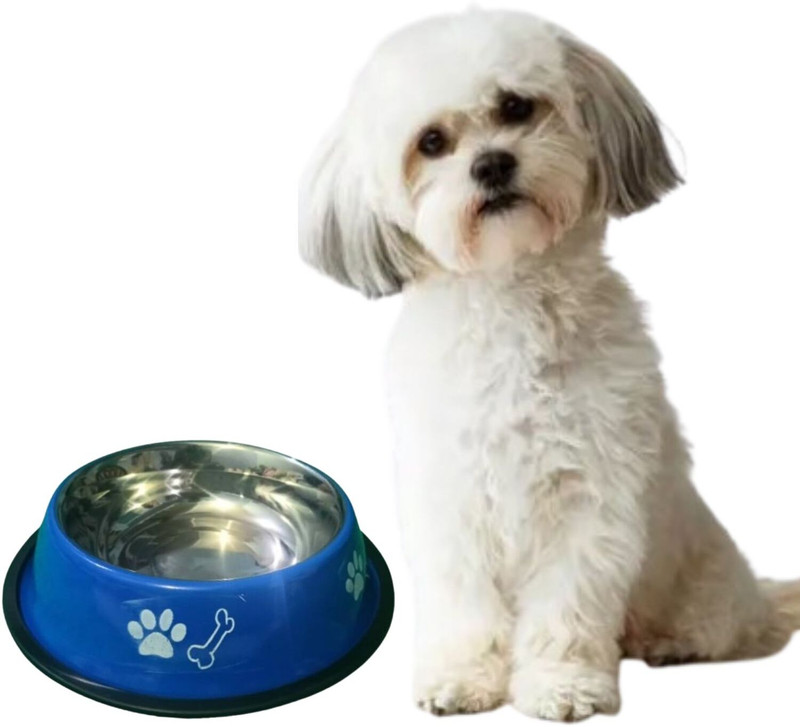 shuperpet CIRCULAR Stainless Steel Pet Bowl(200 ml Blue)