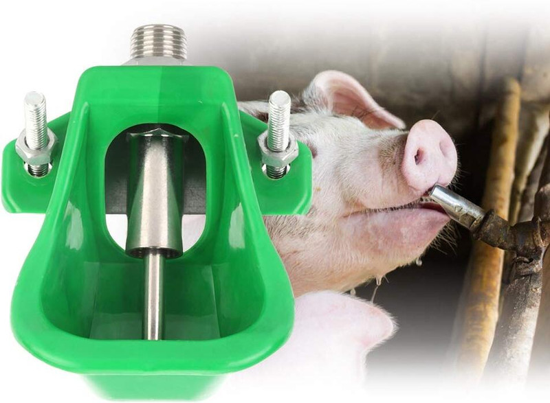 Bethlehemfarm Pig bowel nipple drinker water bowel,piglets tunti Polypropylene Pet Bowl(100 ml Green)