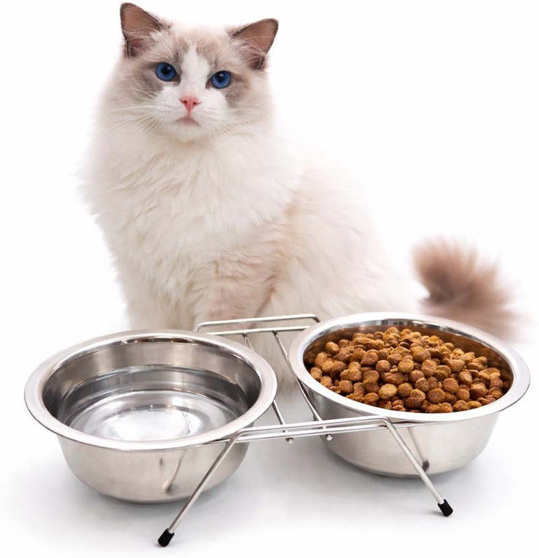 Rvpaws 900ml Elevated Pet Bowl Set – Stainless Steel Double Feeder for Dogs & Cats Stainless Steel Pet Bowl(900 ml Silver)