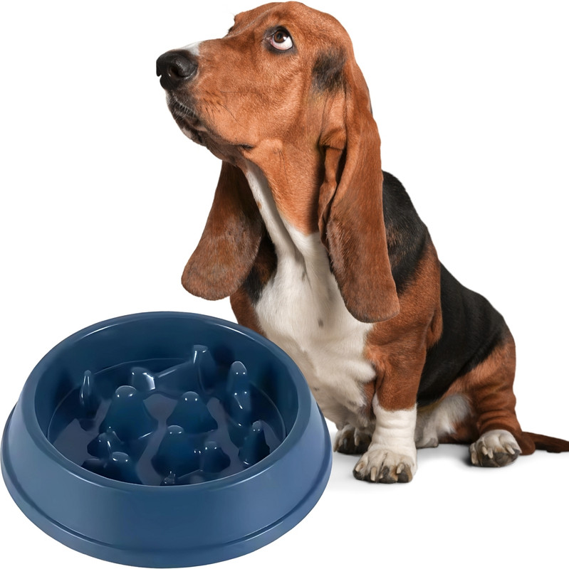 Sage Square Dog Slow Feeding Bowl – Volcano Puzzle Design, Anti-Choking, Anti-Gulping Plastic Pet Bowl(400 ml Multicolor)