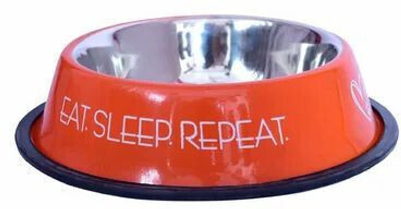 Nannan Aesthetic Printed Pet Bowls with Anti-Skid Base for Dogs & Cats (Color may vary) Stainless Steel Pet Bowl(Small- 400 ml Multicolor)