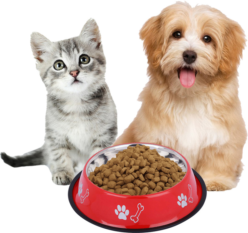 Movson 400ml Cat Bowl | Kitten Food Bowl | Food Bowl for Pet Stainless Steel Pet Bowl(400 ml Multicolor)