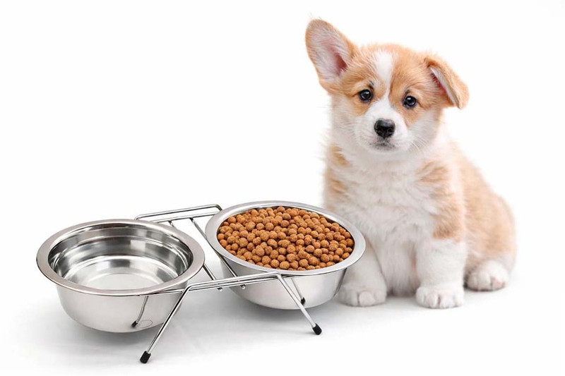 Woofy Stainless Steel Pet Bowl(200 ml Silver)