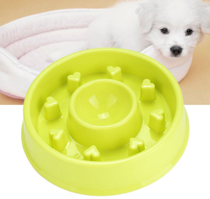 PSK PET MART 1 pcs dog food bowl 2 cups hold capacity anti choking food bowl Plastic Pet Bowl(250 ml Green)