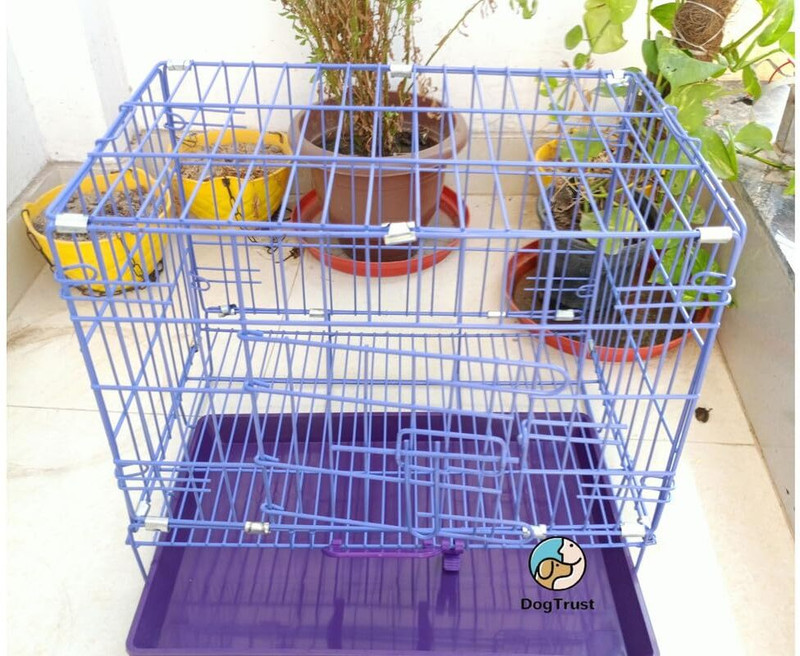 DogTrust Single Door cage Dog House Purple Pet Crate(Suitable For Dog, Cat)