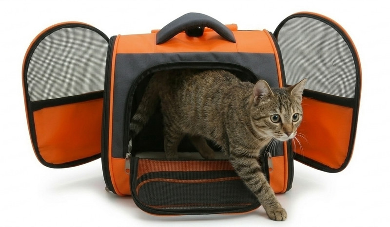 fashnita Cat ,puppy,rabbit carrier bag Multi Backpack Pet Carrier(Suitable For Rabbit, Cat, Tortoise, Turtle)