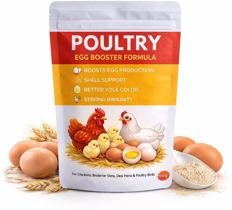 VELWAR Poultry Egg Booster Feed Supplement 100g Improves Egg Production Shell Strength Egg Bird Chew(100 g, Pack of 1)