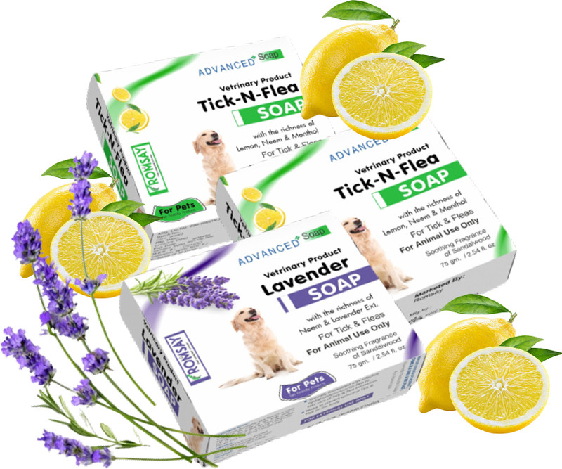 ROMSAY Anti-Tick & Flea Soap 75GM Pack Of 3 For Pets 225 ml Pet Coat Cleanser(Suitable For Dog, Cat)