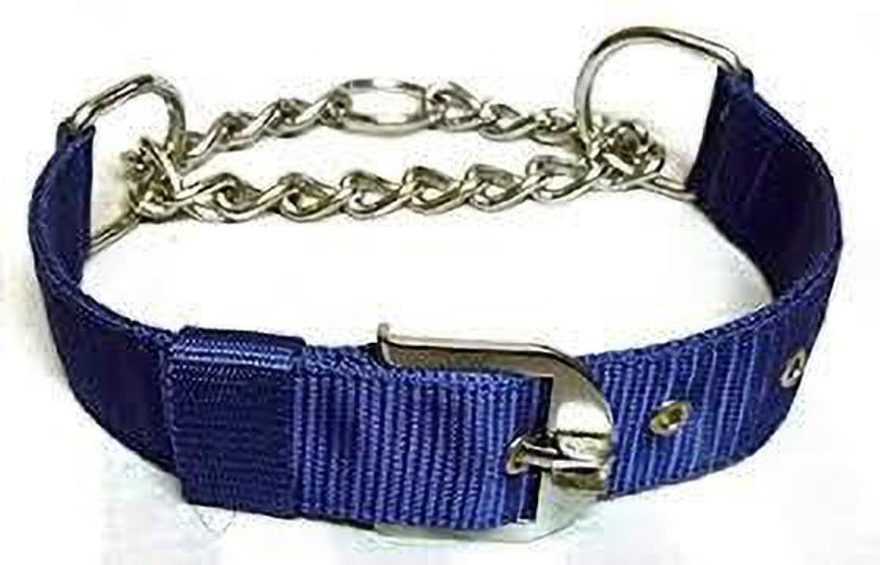 RS Pet Hub RS PET HUB Choke Collar For Dog Dog Collar & Chain pack of -1 Plain Dog Collar Charm(Blue, Round)