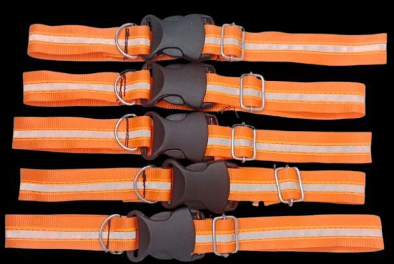 FOREVER 99 5 pack Reflective Collar for Street Dogs Quick Release Buckle Plain Dog & Cat Collar Charm(Orange, Round)