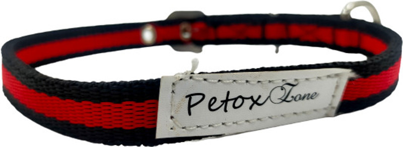 Petox Zone Plain Dog Collar Charm(Green, Other)