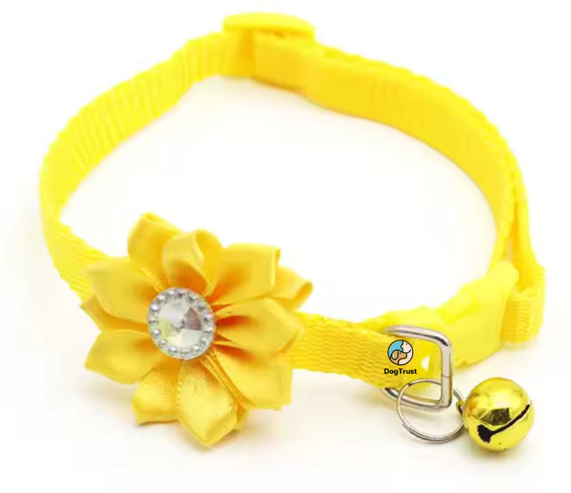 DogTrust Cat Collar Pet Collar Cute Pink Flower Cat Collar with Bell Bell Dog & Cat Collar Charm(Yellow, Round)