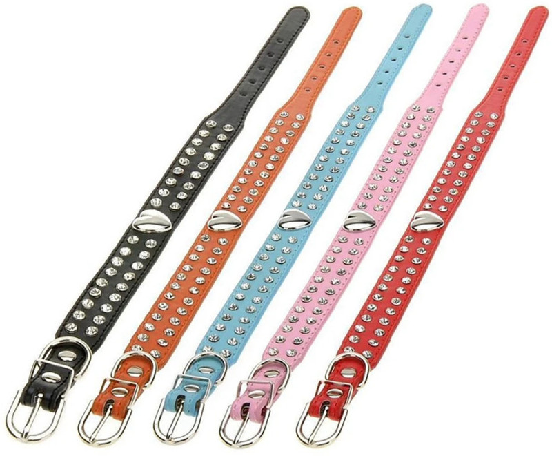 DogTrust Large puppy collar Embellished Dog & Cat Collar Charm(Multicolor, Solid)