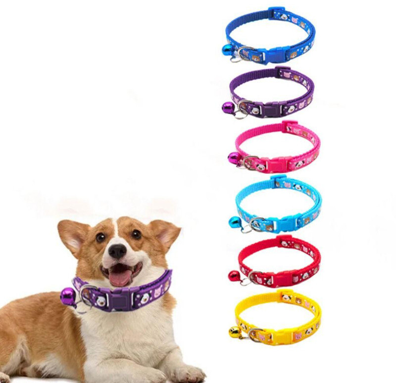 DogTrust 4 pcs bone print _01 Bell Dog & Cat Collar Charm(Multicolor, Other)