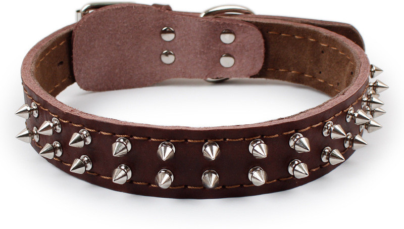 DogTrust Suitable for Large Breeds Size 1.25 Inch Embellished Dog Collar Charm(Brown, Oval)