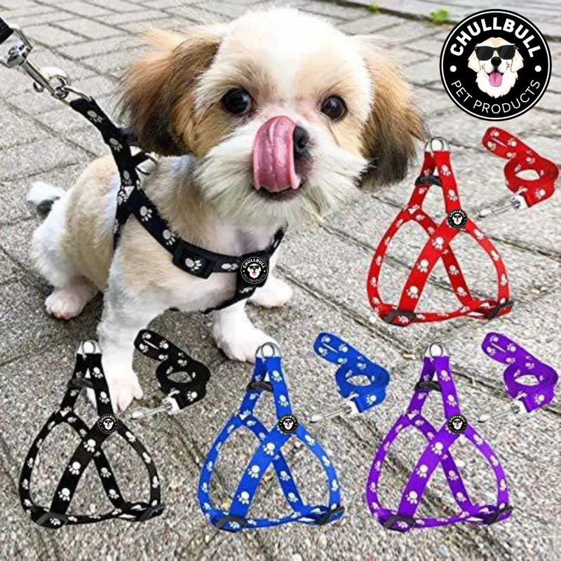 chullbull pet products Paw Print Leash and Harness Set for Small & Medium Puppy Bell Dog & Cat Collar Charm(Multicolor, Solid)