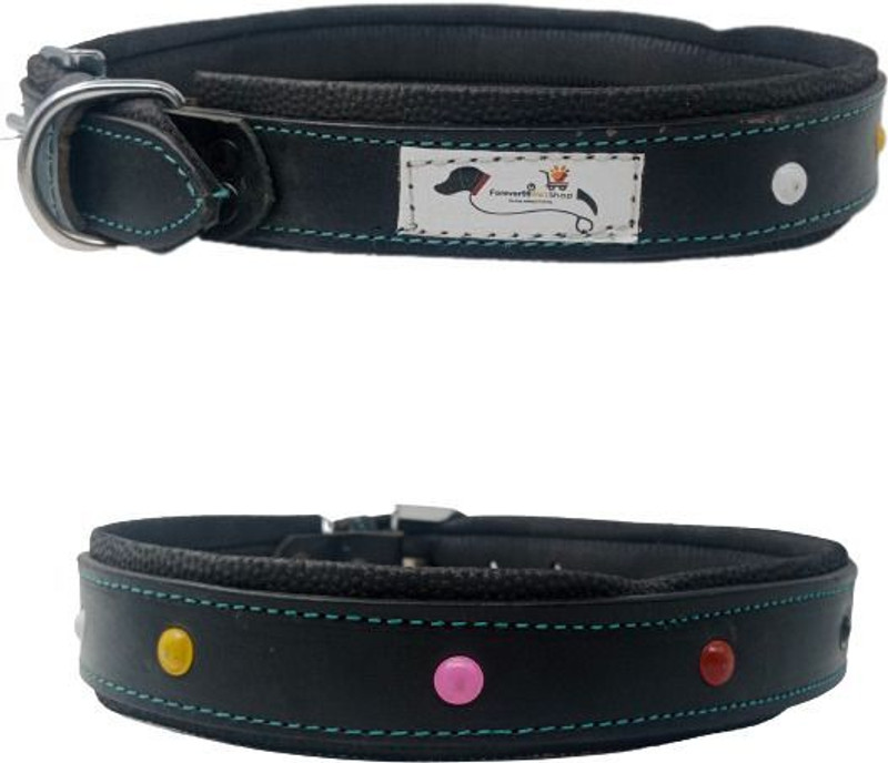 Futaba Embellished Dog Collar Charm(Black, Other)