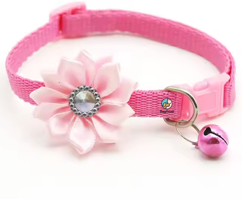 PSK PET MART Cat Collar With Bell,Kitten Kitty & Small Dogs For Cats And Puppies-Pink Bell Dog & Cat Collar Charm(Pink, Round)