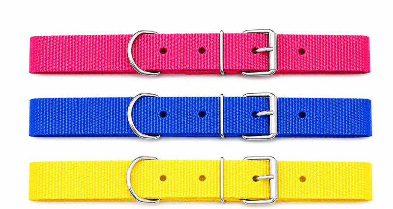 GTL Dog Collar Black Yellow Red Blue Plain Dog & Cat Collar Charm(Black, Yellow, Red, Blue, Round)
