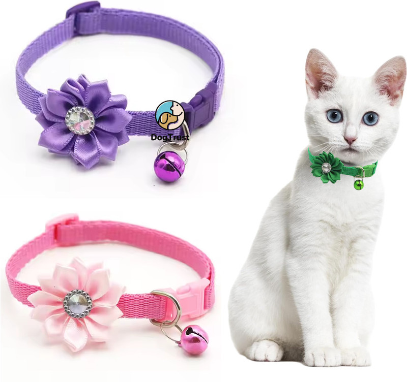 DogTrust Collar for Cat Kitten Dog Collar 10 mm Flower Shape Bow Tie Colour (pack of 2) Bell Dog & Cat Collar Charm(Multicolor, Round)