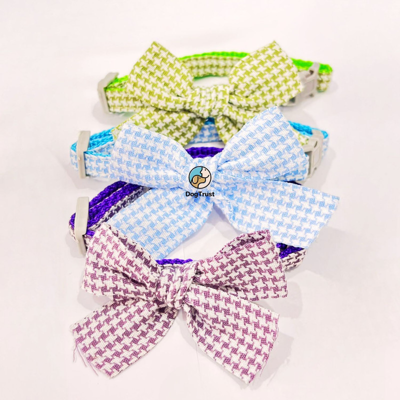 DogTrust Small Dogs, Plaid Bow Cat Collar Bow Tie Buckle Pet Collar Puppy Pet Adjustable Bell Dog & Cat Collar Charm(Blue, Round)