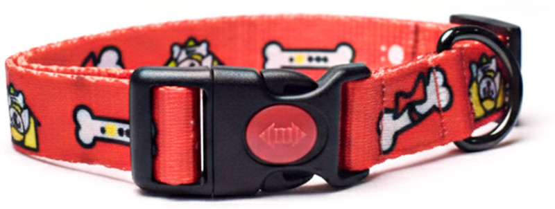 PETSWARE Dog Collar-Large,Adjustable,LockBuckle for Large&Medium Sized Dogs of all Breeds Embellished Dog Collar Charm(Multicolor, Bone)