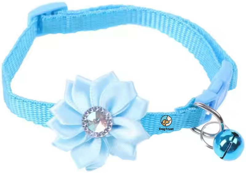 DogTrust flower collar_@342 Bell Dog & Cat Collar Charm(SKY BLUE, Round)