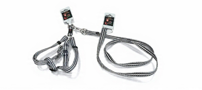 Urpets Urpets Collar & Leash Small Info Engraved Dog & Cat Collar Charm(Multicolor, Rectangle)