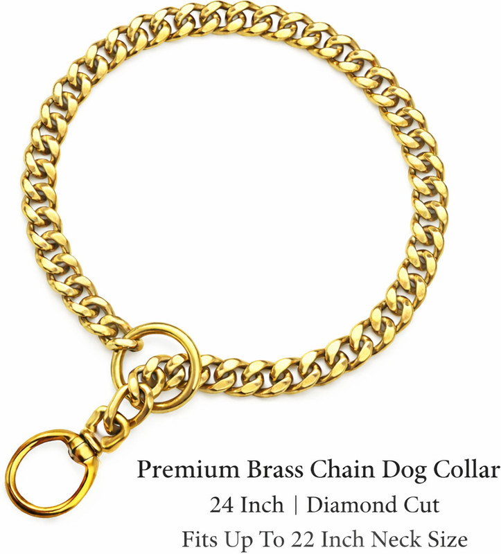 DXJIYAWORLD GOLDBRASS CHAIN 24INCH Plain Dog Collar Charm(Gold, Round)
