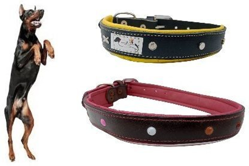 PupsPets Embellished Dog Collar Charm(Multicolor, Other)