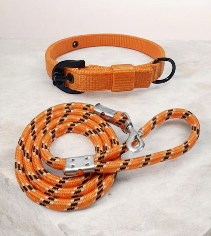 PetMaster Plain Dog Collar Charm(Orange, Solid)