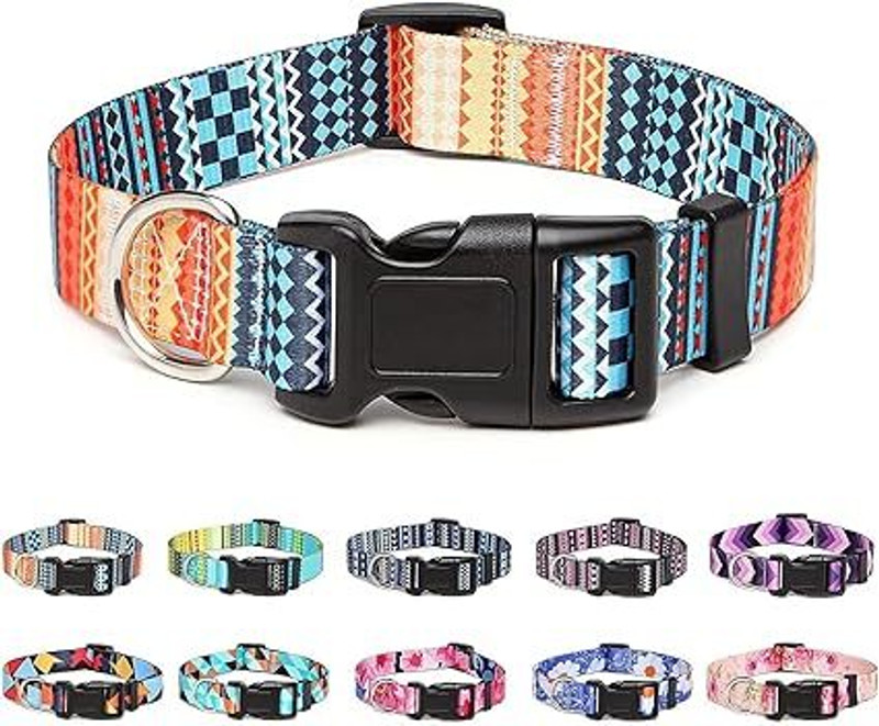 PETSWARE PETSWARE Printed Dog Collar Adjustable 38-63Cm (Size:L 25 Cm)(Designs May Vary) Plain Dog Collar Charm(Multicolor, Solid)