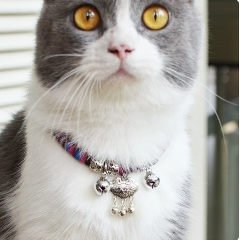 Pet Guard Bell Dog & Cat Collar Charm(Multicolor, Round)