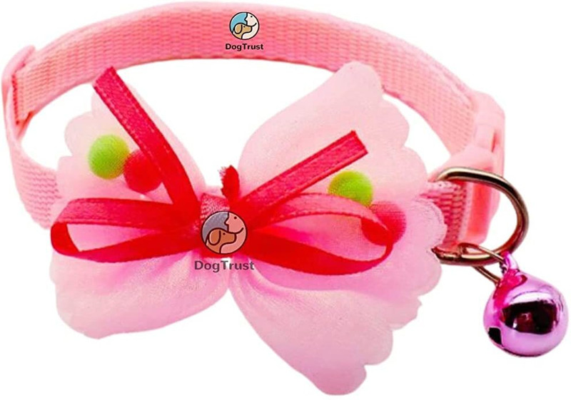 DogsHut NA Plain Dog & Cat Collar Charm(Blue pink, Other)