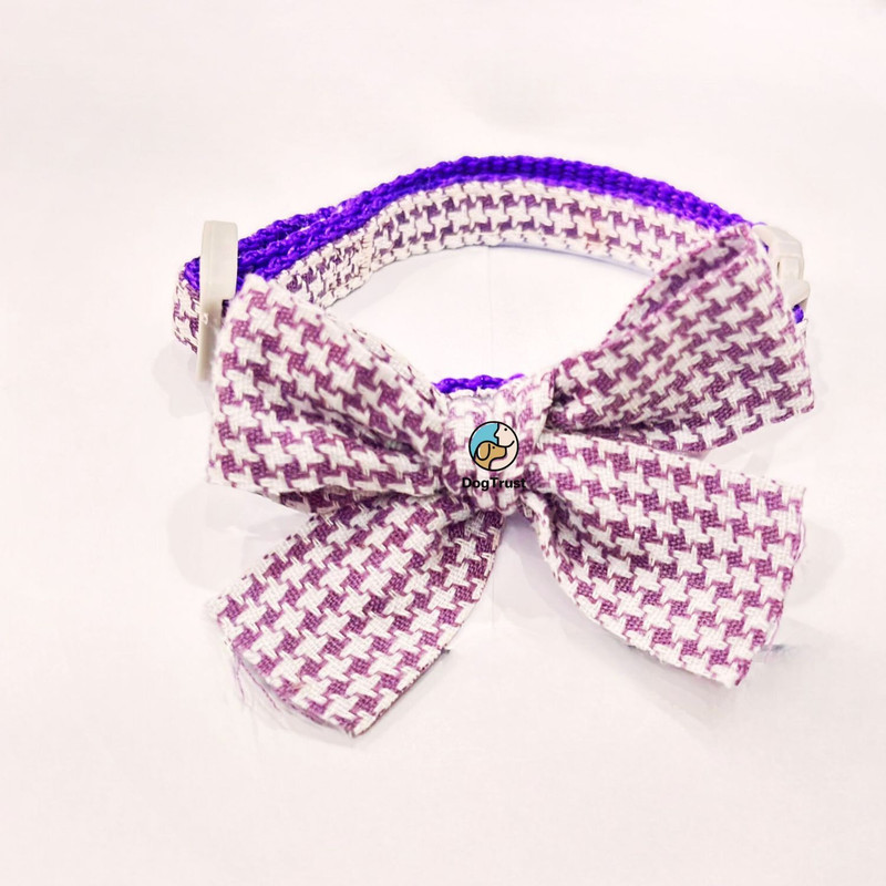 DogTrust Cotton Bow Tie with Adjustable Pet Collar Bow Dogs Cats Puppy Tie Neck Bell Dog & Cat Collar Charm(Purple, Round)