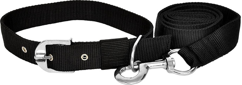 PetCeptual Nylon Dog Collar Belts and Leash Set for Large and Extra Large Dogs, 1.5 Inch Plain Dog & Cat Collar Charm(Black, Silver, Round)