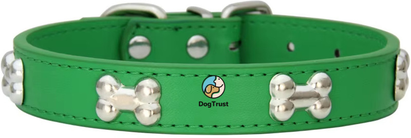 DogTrust Collar TPR Rubber Colored Silicone Cat Leash Leashes Dog Leash Bell Dog & Cat Collar Charm(Multicolor, Round)