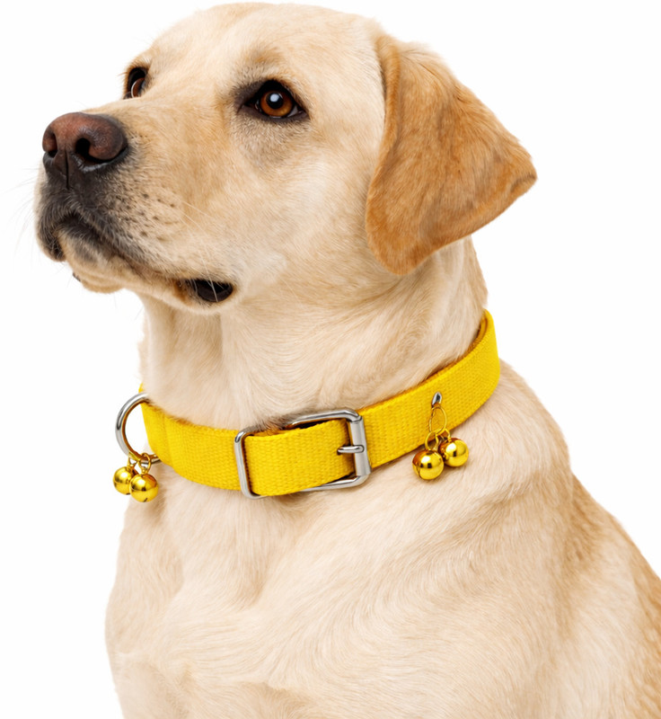 Vijv Toys Vijv Toys Dog Bell Collar Bell Dog & Cat Collar Charm(Yellow, Round)
