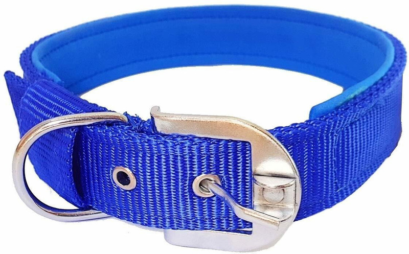 Iblay Good Quality 1.5 inch Dog Collar Belt 1.5m Lengthy Dog Collar for big dogs Plain Dog & Cat Collar Charm(Multicolor, Rectangle)